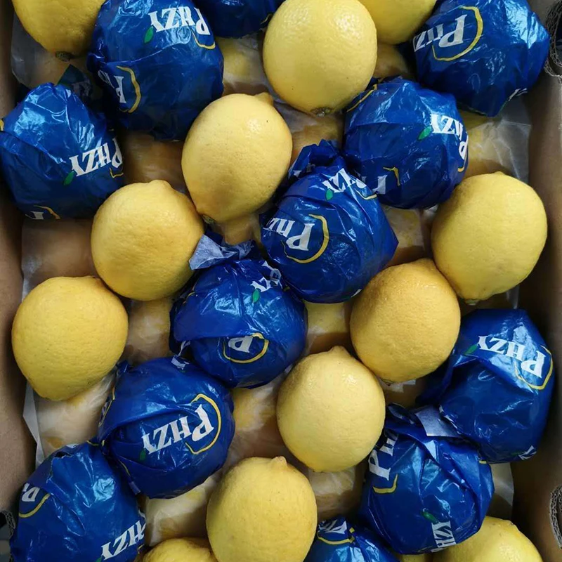 China Wholesale Top Quality Fresh Lemon In Bulk