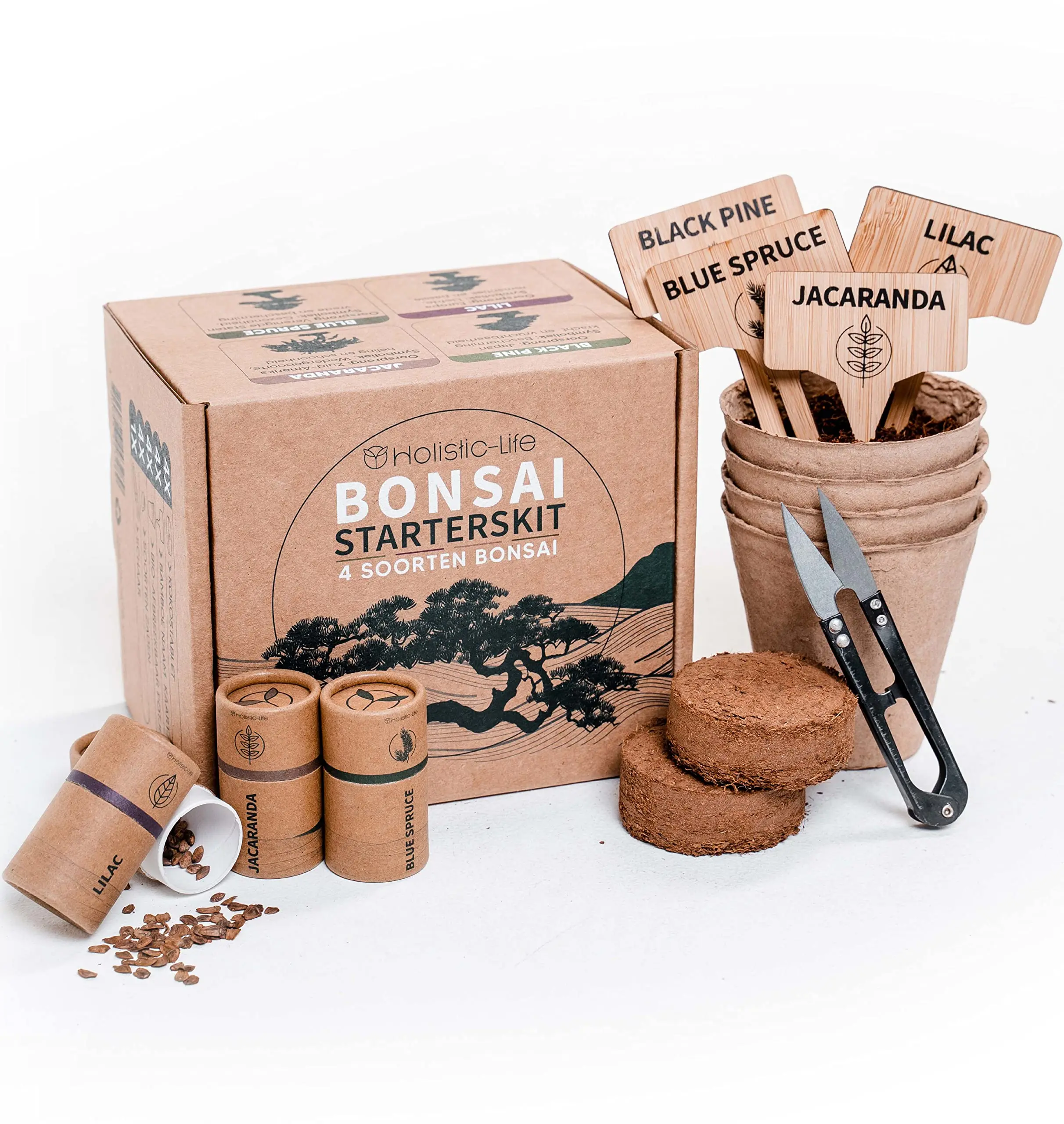 wholesale customization Bonsai Starter seeds Kit with Detailed Instructions kindergarten plants for home bonsai tree kit