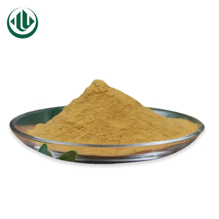 ISO Certificate Supply Instant Green Tea Powder Camellia Sinensis Leaf Extract