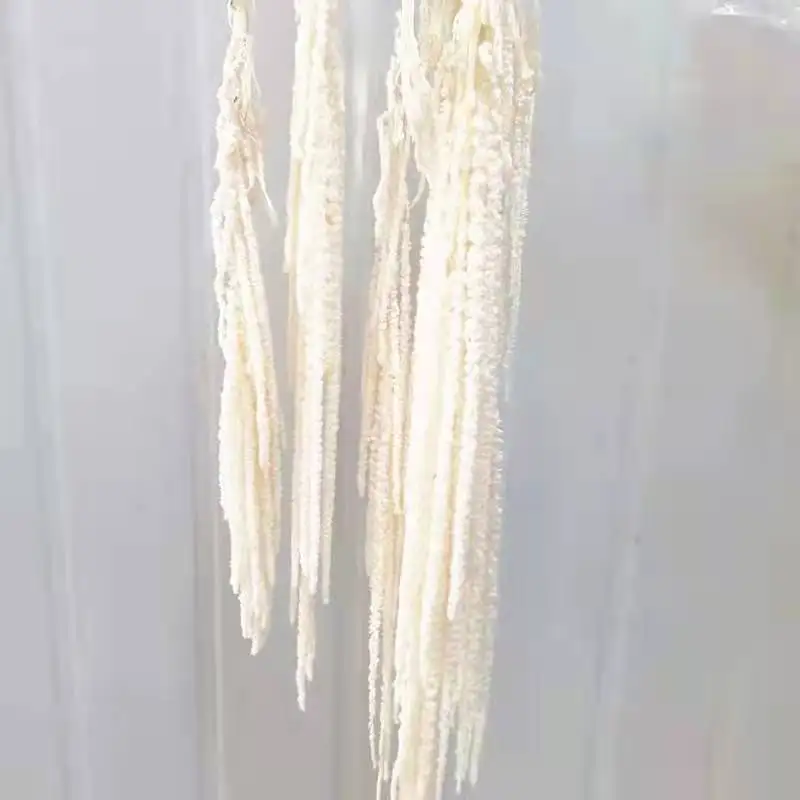 Party Home Garden Decor Indoor Flower Arrangement Eternal Flowers Amaranthus Dried Flowers