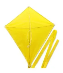 Advertising Custom Design Qutdoor Logo Kite From China Kite Factory In Weifang