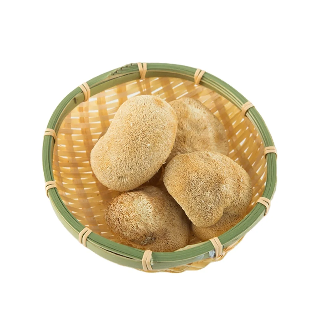 
Wholesale dried hericium erinaceus lions mane mushroom 