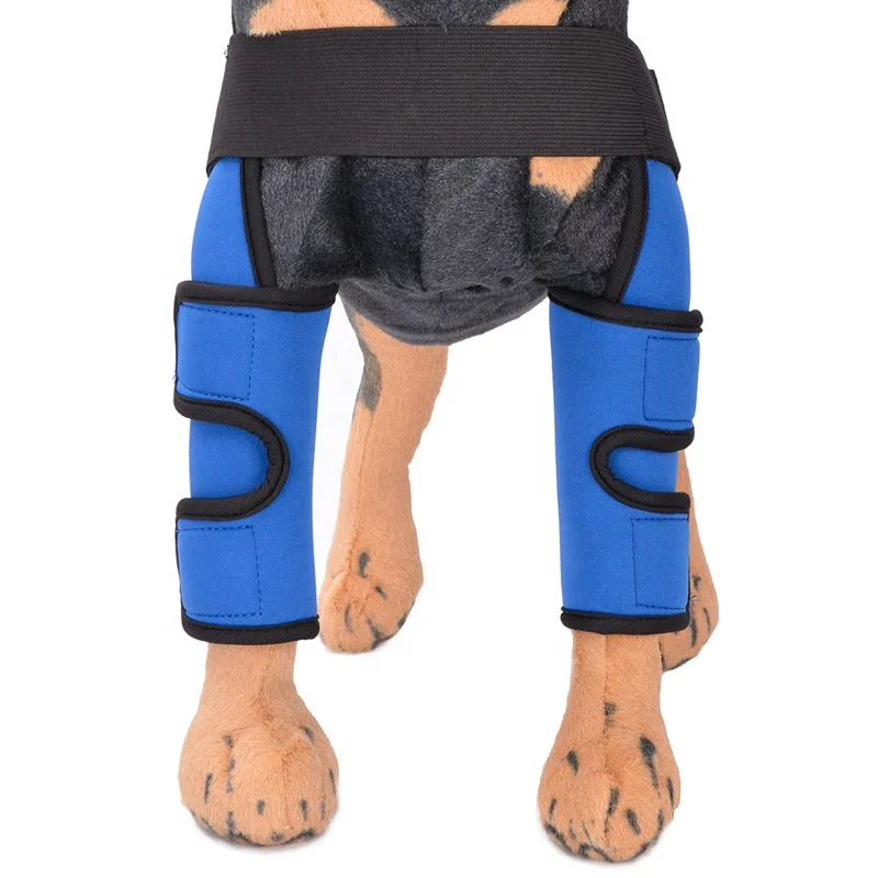 New design dog shoulder brace front leg canine elbow protector prevents injuries