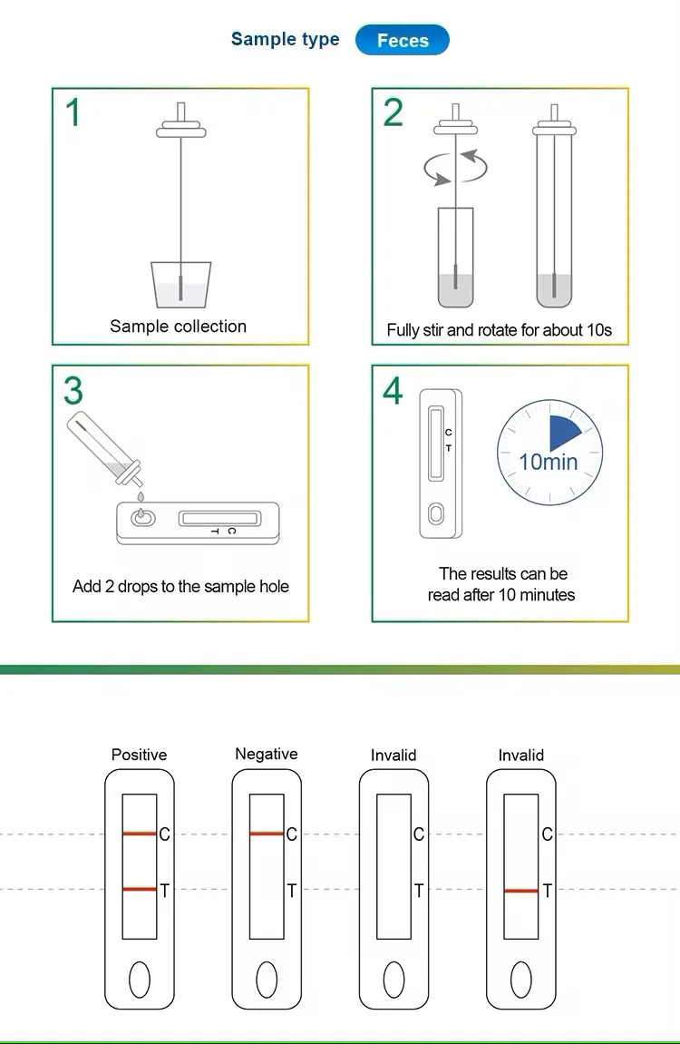 LYZ HP Helicobacter Pylori Antigen Test One Step H Pylori Ag Rapid Cassette Kits