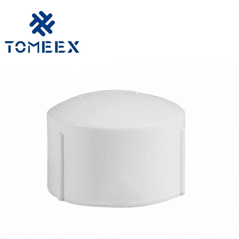 2024 Shanghai Factory high quality pvc  BSPT pipe fittings plug
