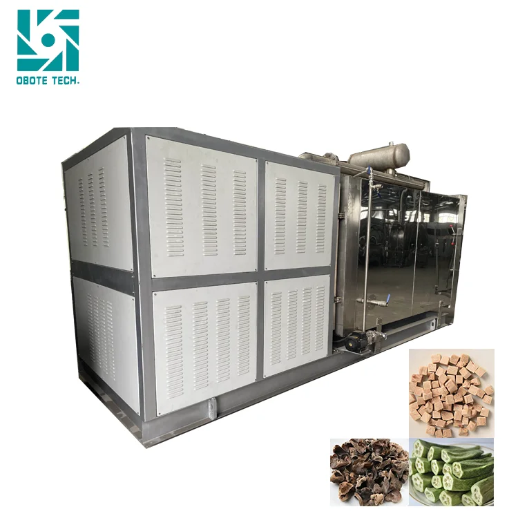 Fruit & Vegetable Processing Machine commercial dehydrator freeze drying machine for test
