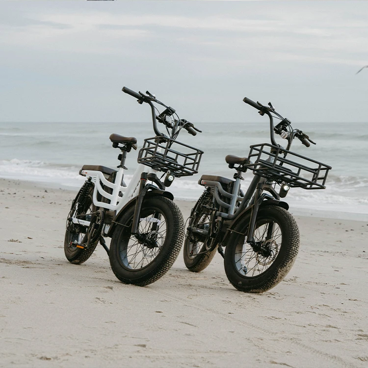 Factory Nice Price Electric Bike With Lithium Batteries/China Hot Sale Electronic Bicycles /Electric Push e Bikes For Sale