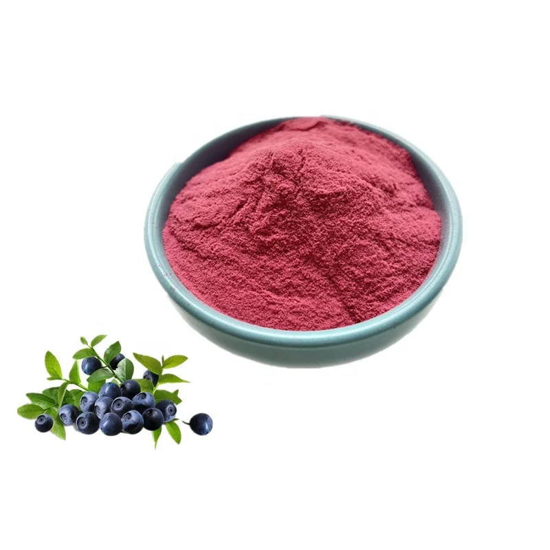 ISO заводской высококачественный порошок Aronia фруктовый Berry Powder