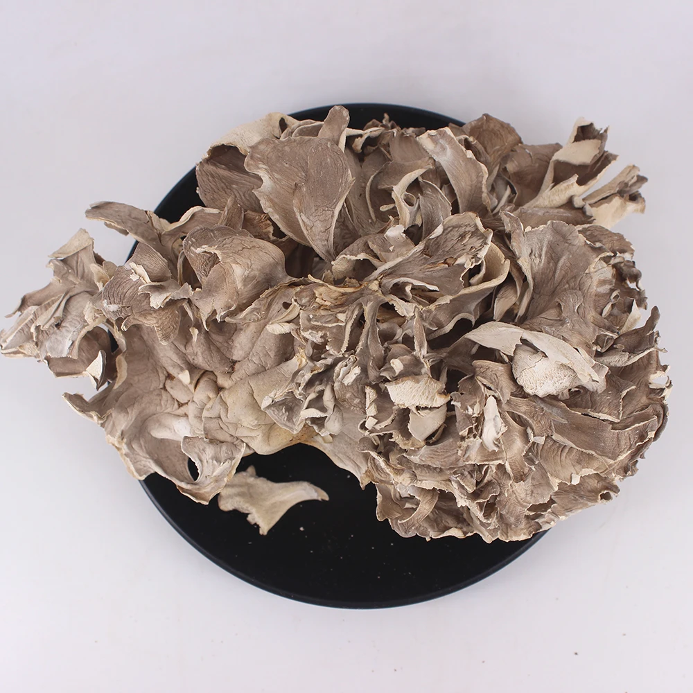Wholesale Price High Quality Maitake Natural Maitake Hui Shu Hua Dried Maitake Mushroom