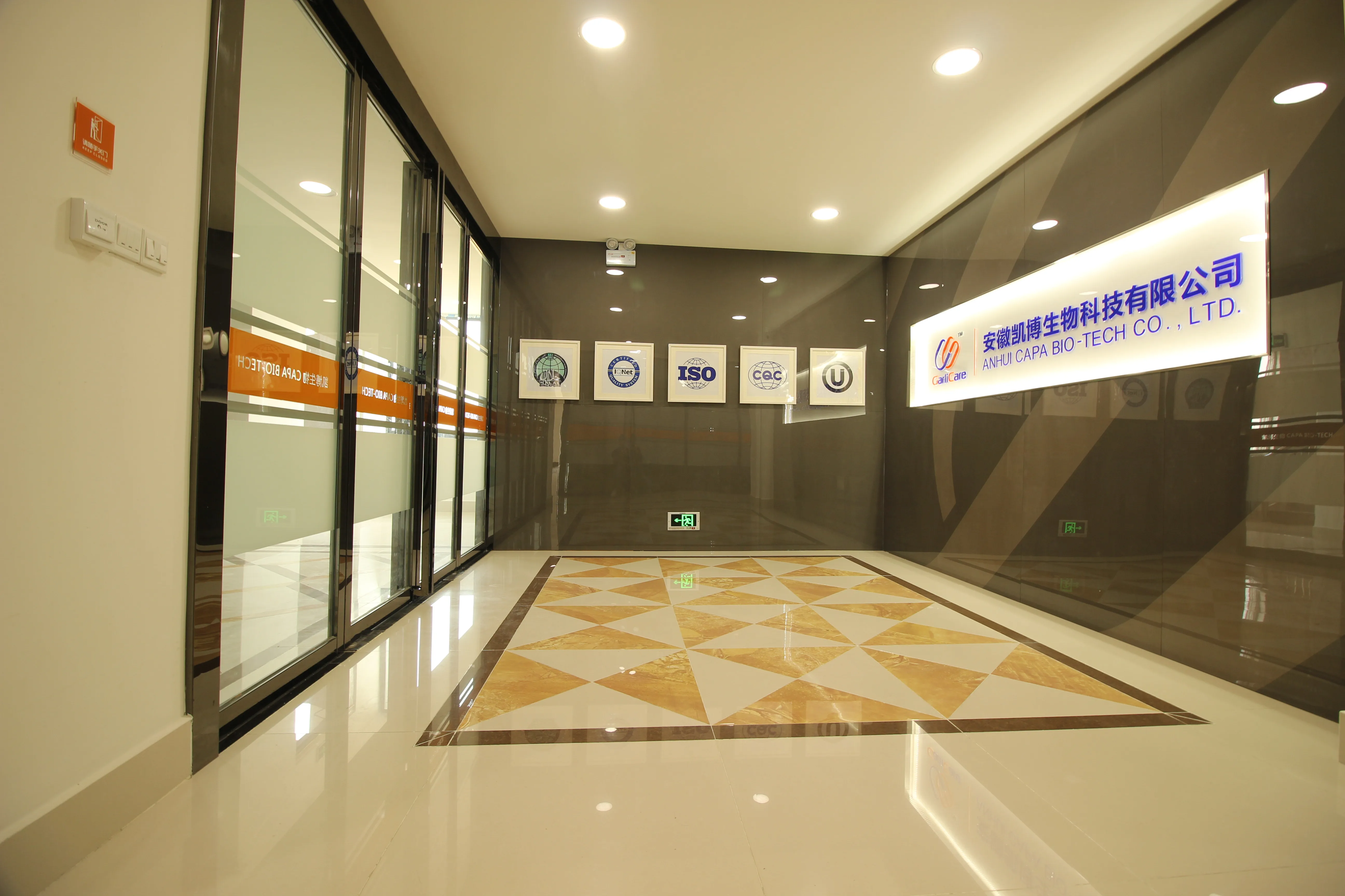 Professional Supplier Nature Ginger Oil with Competitive Price