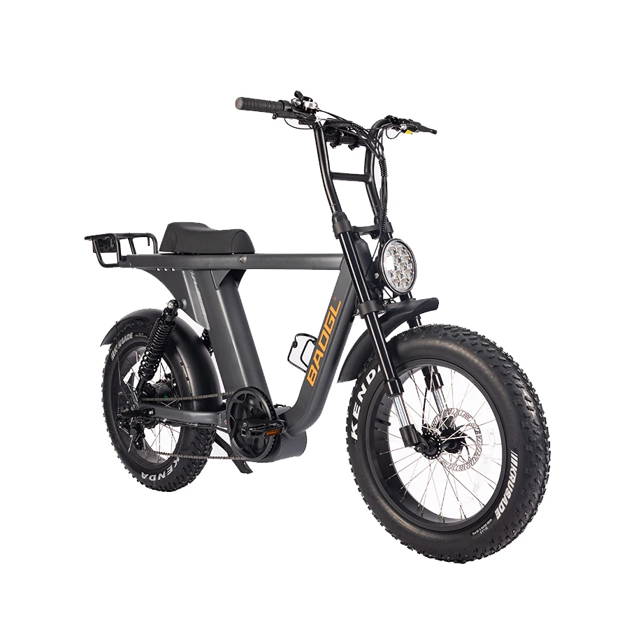 20 inch 48V750W powerful motor Multi-function 15AH Lithium Battery fatbike enduro ebike motorized bicycle