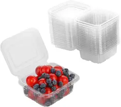 Food grade clear PET plastic fruit packaging container with air holes for fresh blueberry