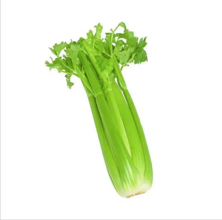 
IQF Export Frozen Vegetables Hot Selling Frozen Celery 