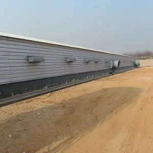 chicken poultry farm structures design/ broiler poultry farm shed design