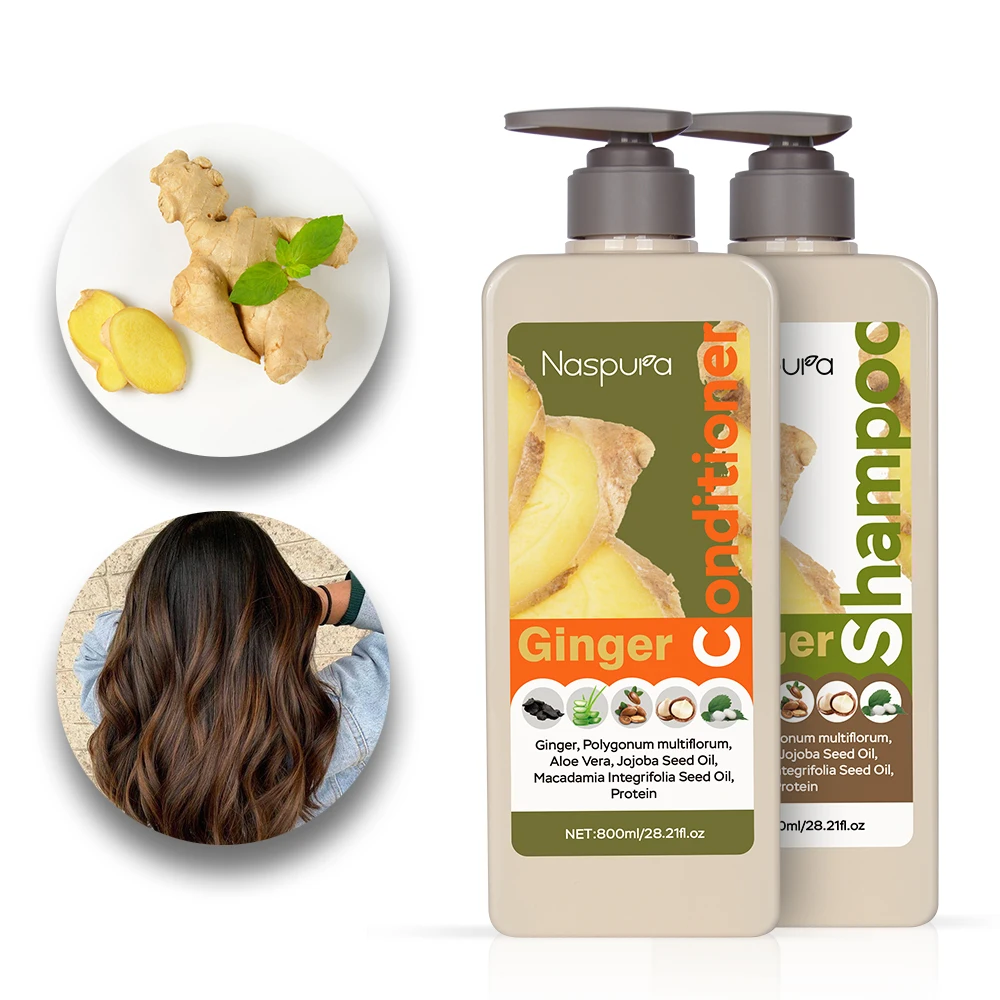 wholesale superior quality hair care oil control hair loss prevention strong roots ginger hair conditioner for repairing