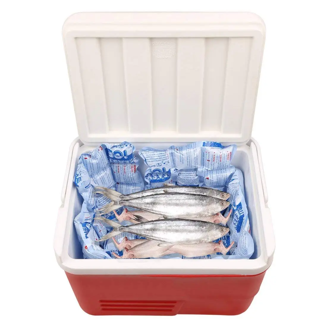 Customization  Techni Cooler Ice Sheet Reusable seafood Dry Ice Packs