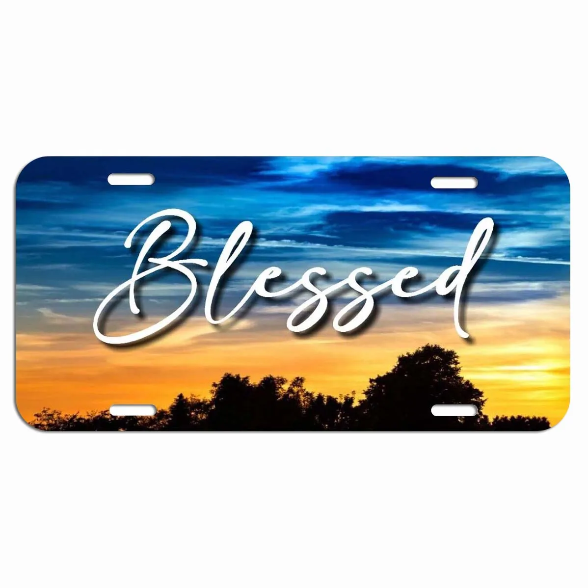 Blessed License Plates, Decorative Car Front Metal Car Plates, Vanity Tags, Aluminum Novelty License Plates 6X12 Inch