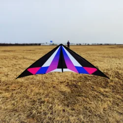Factory Dual Line Power Kite Sale Sport Flying 2.4m Lanyork Magic Modern Deign Dual Line Stunt Kites