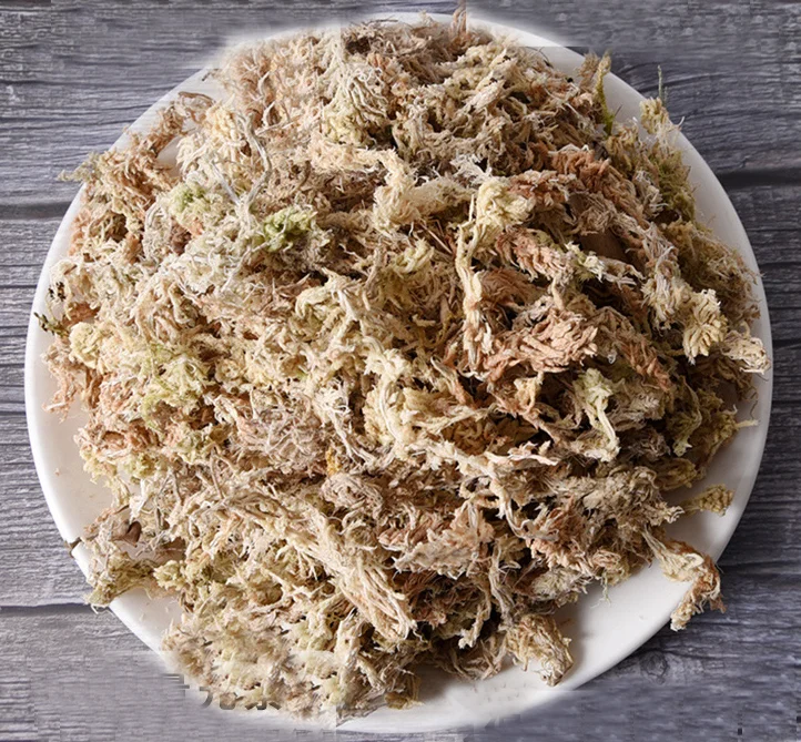 Chilean sphagnum moss long fiber sphagnum peat moss buy moss sphagnum