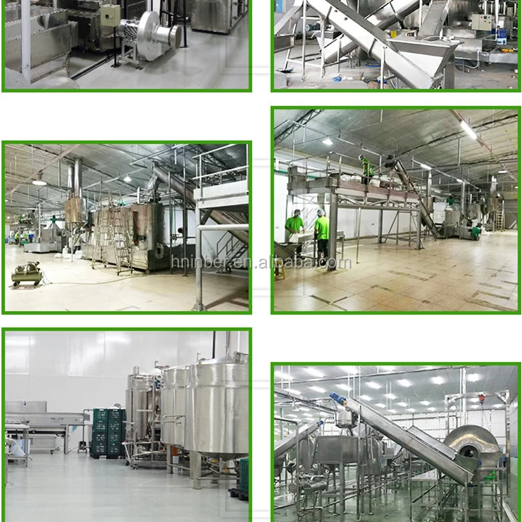 Automatic industrial coconut milk processing machine/coconut grater machine/coconut peeling machine