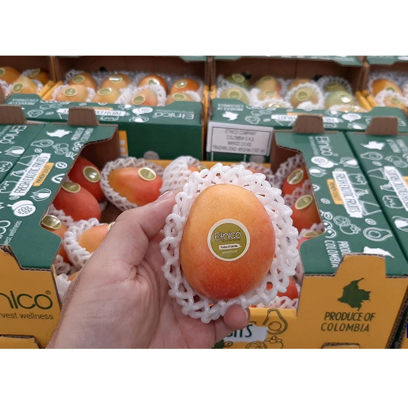 Premium Quality Fresh Fruit Colombian Mango Fresh Exotic Fruits Sugar Baby Mango