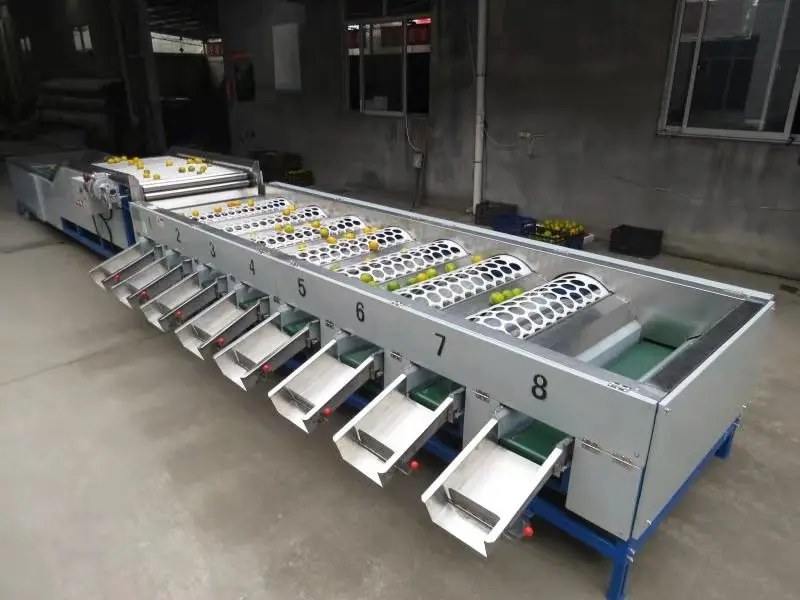 
Hot Sale cherry Tomato Grader/fruit grading machine for sale 