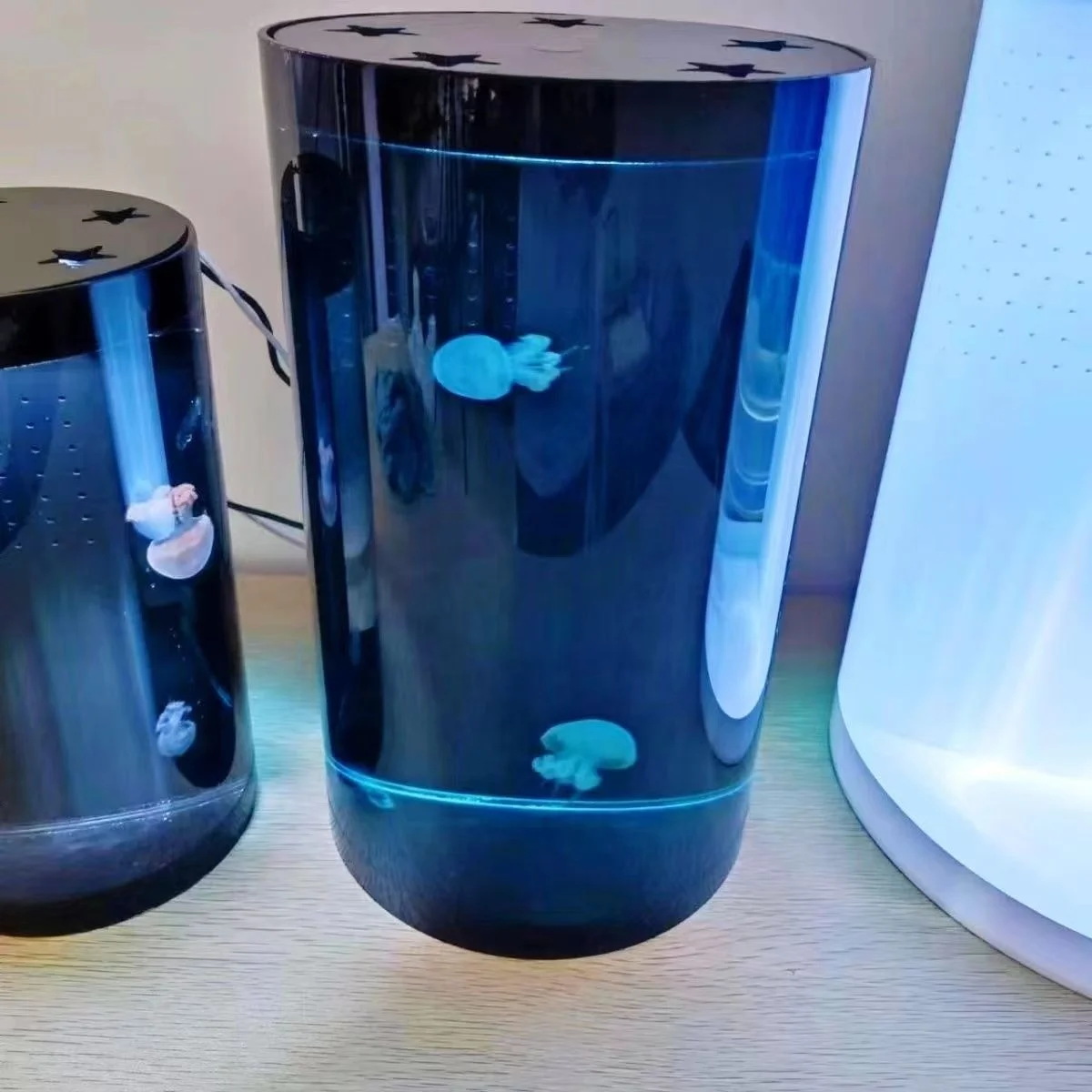 Modern LED RGB Acrylic Jellyfish Tank USB Rechargeable Night Light Hot Selling Small to Large Sizes for Bedroom Power via Touch