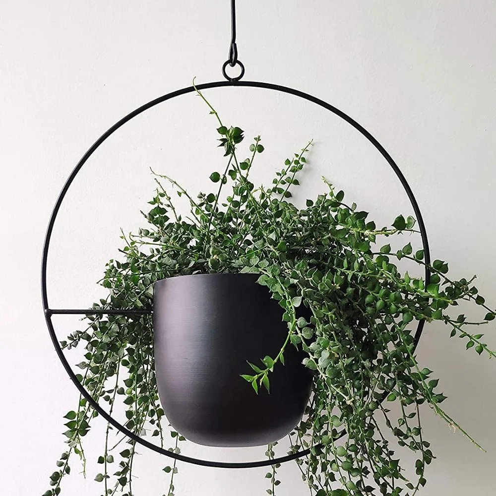 Современная черная металлическая вешалка для растений, металлический настенный Потолочный подвесной Плантатор, минималистичный плантатор для внутреннего и наружного декора дома