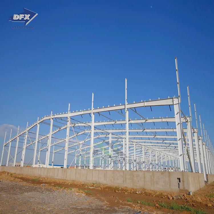 Custom Steel Structure shed Fabrication design Company Metal Steel Structure Warehouse Building