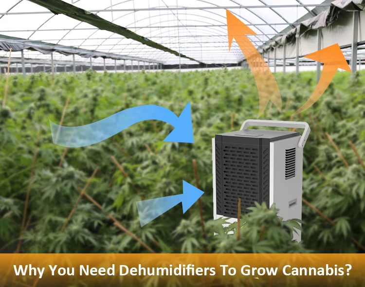 Осушитель воздуха TGAP 100 л/д промышленный коммерческий портативный R410 осушитель хладагента