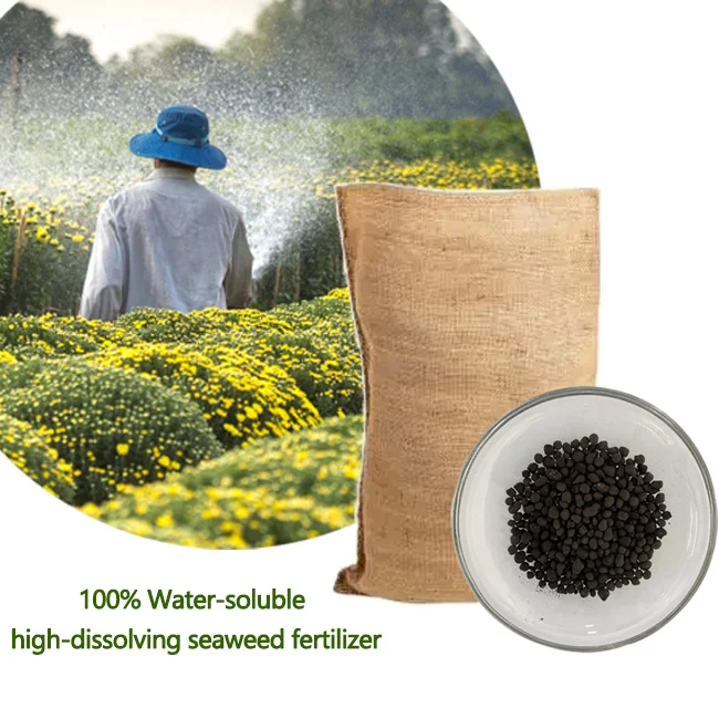 High Quality Agricultural Organic Seaweed Granular Fertilizer 12-0.5-4 Seaweed Organic Granular Fertilizer