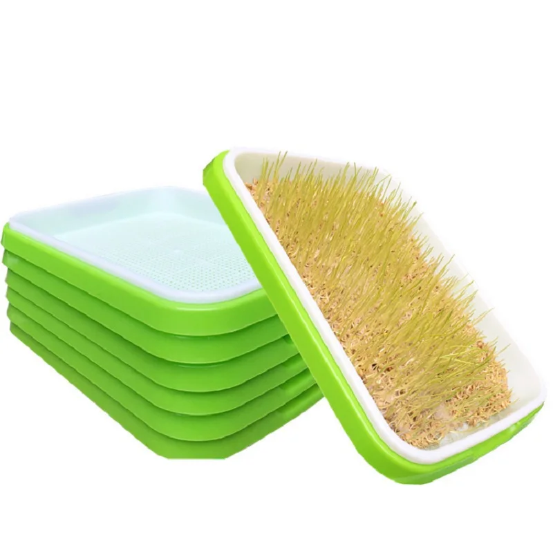 Hot sale Skyplant plants growing nursery seeding fodder trays for hydroponics