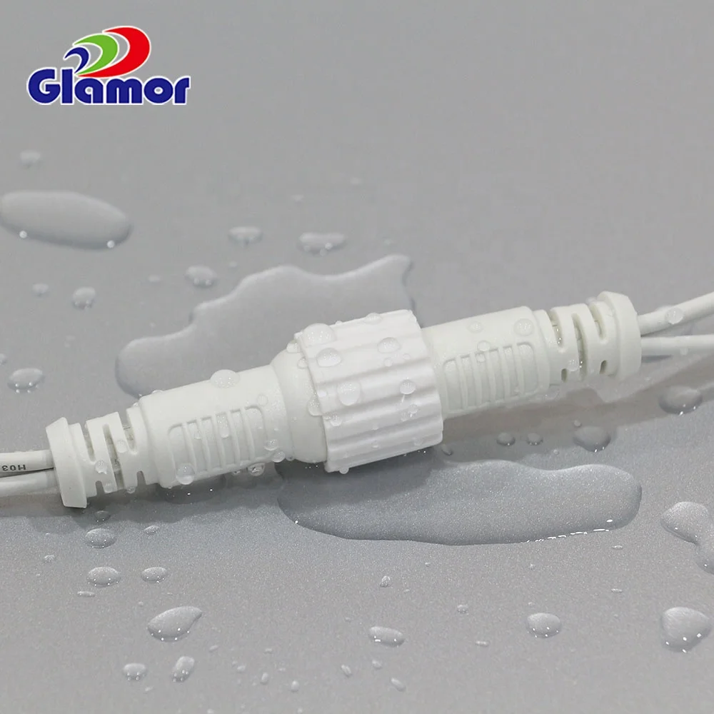 IP65 New decoration remote control dual color light chain outdoor string light for Christmas