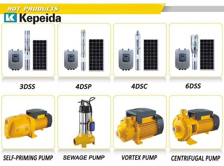 Kepeida 4DSP6/60-D72/750 4Inch DC Brushless Bore Solar Water Pump For Agricultural Machinery Farm Irrigation