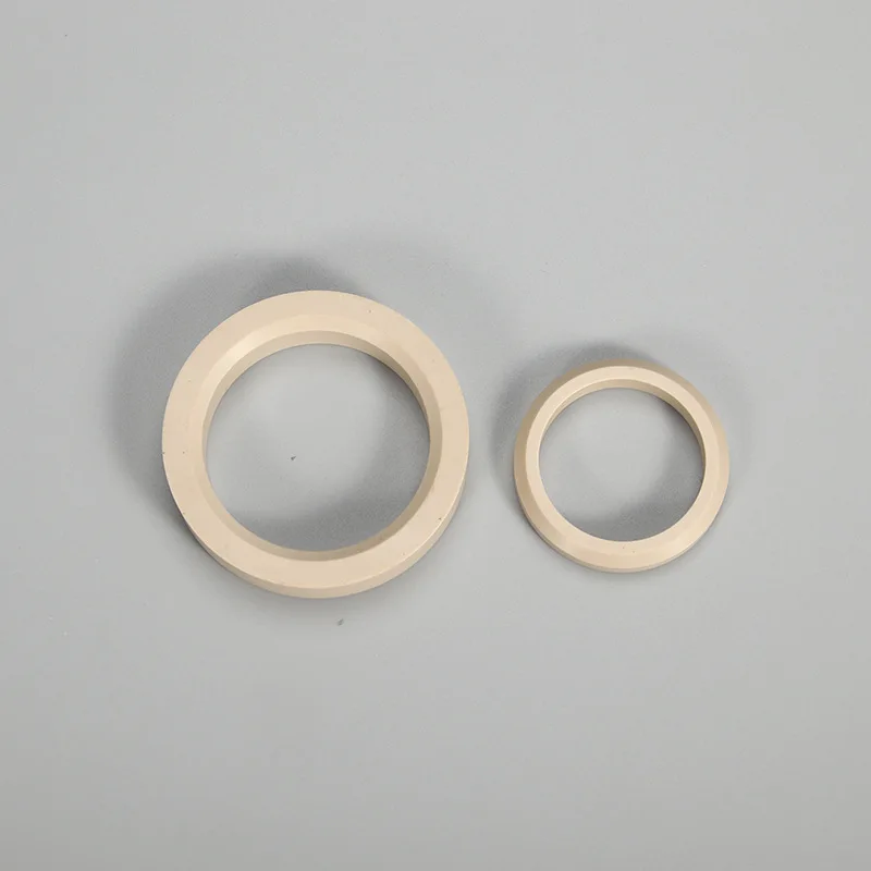 PEEK Plastic Retaining Seal Rings