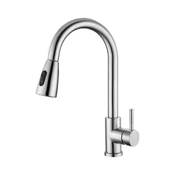 Two functions Single Hole Pull Out Spout Kitchen Sink Mixer Tap Mixer Tap Brushed Nickel Kitchen Faucet
