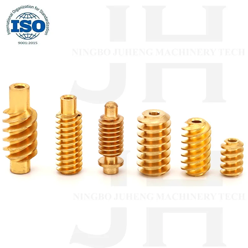 OEM Custom Worm Gear CNC Machined Stainless Steel Micro Machining Capabilities