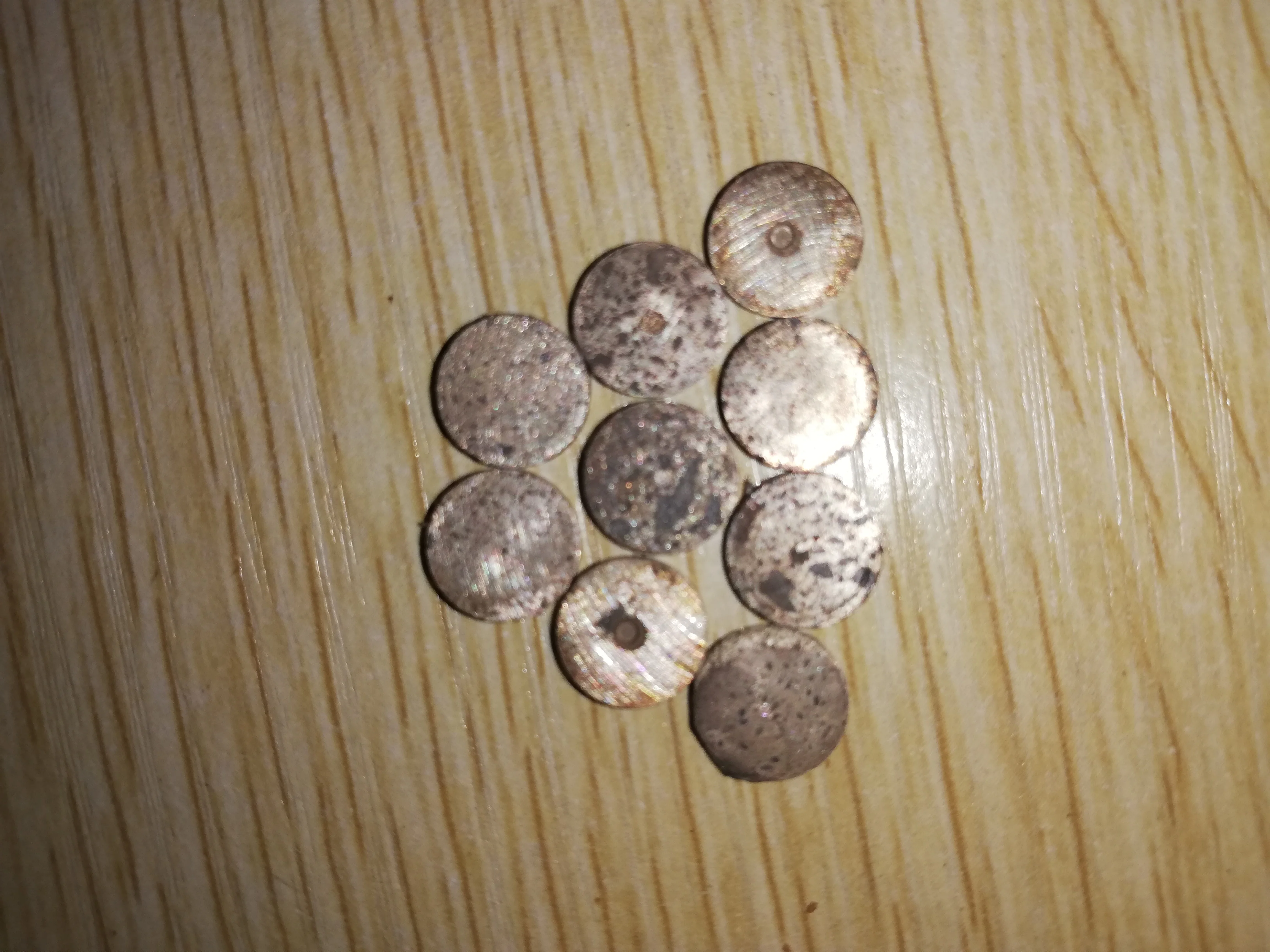 EEG Cable Reusable Sintered Agcl Silver Chloride EEG Electrode