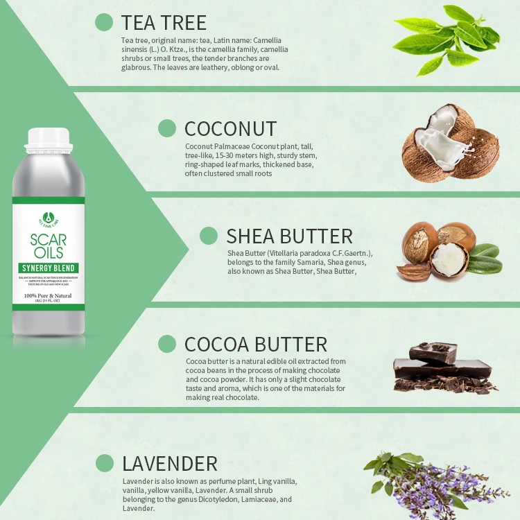 Alltimecare Body Works Fragrance Edible Body Shimmer Oil No Logo Scar Moisturizing Body Oil