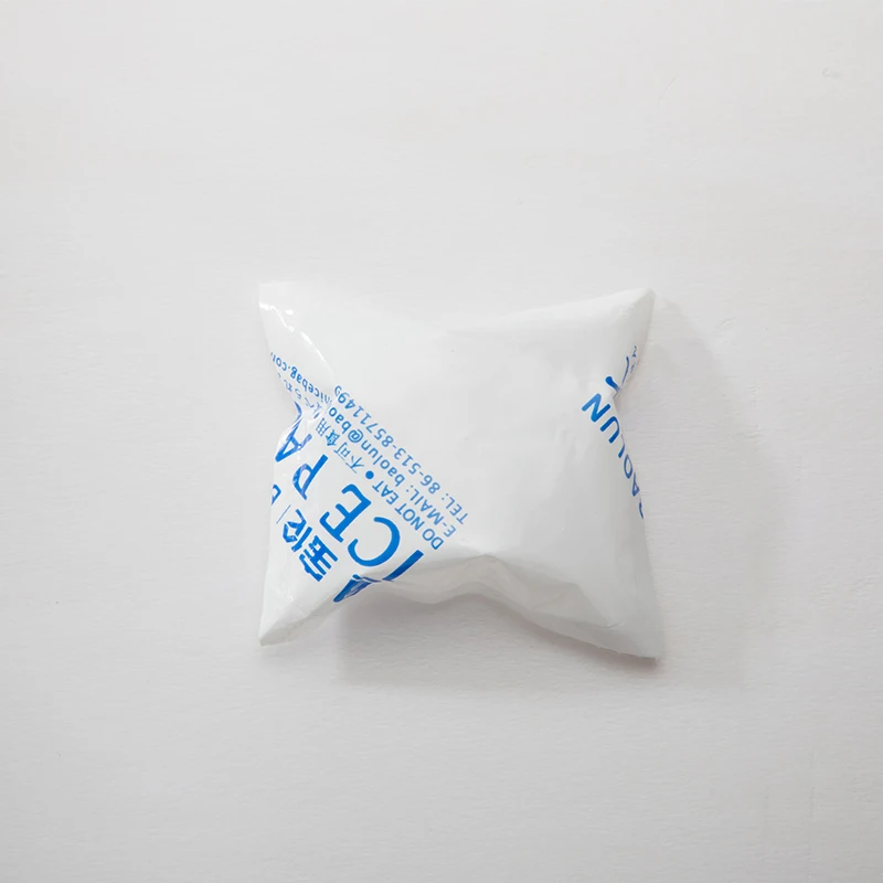 Hot Sale Reusable Seafood ice packs cold pack for meat and food shipping