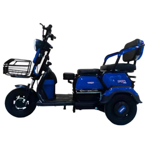 Three Wheels Electric Passenger Tricycle Enjoy Leisure Time Seat Foldable Electric Pedicab