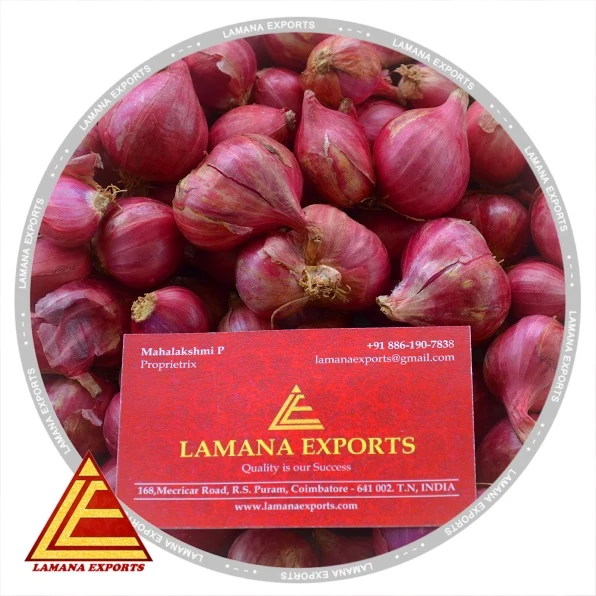 PODISU JANDA SHALLOT 27MM ABOVE