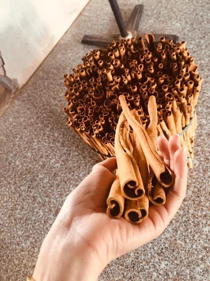 Wholesale cinnamon powder whole cinnamon roll spicies cassia pressed Dried from vietnam