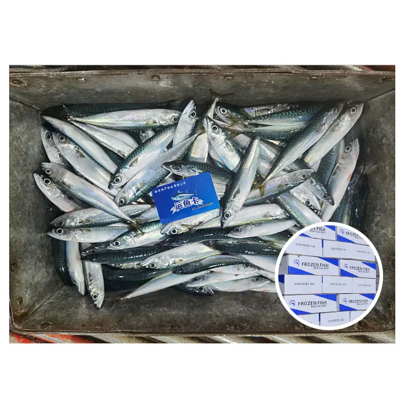 Замороженные морепродукты, скумбрия, малый размер, приманка, доска для рыбы, замороженная скумбрия