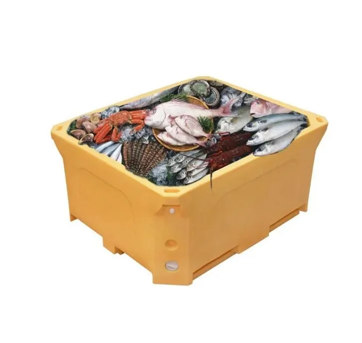 China custom plastic injection molding plastic fish bin mould