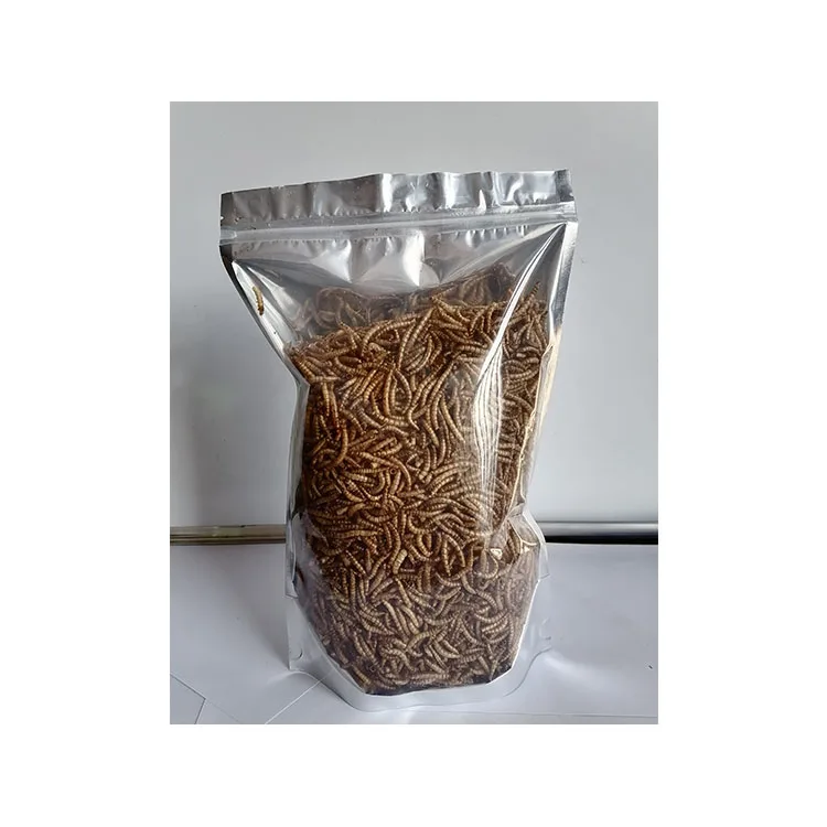 Best quality larvae black soldier fly larvae for fish bird snack food