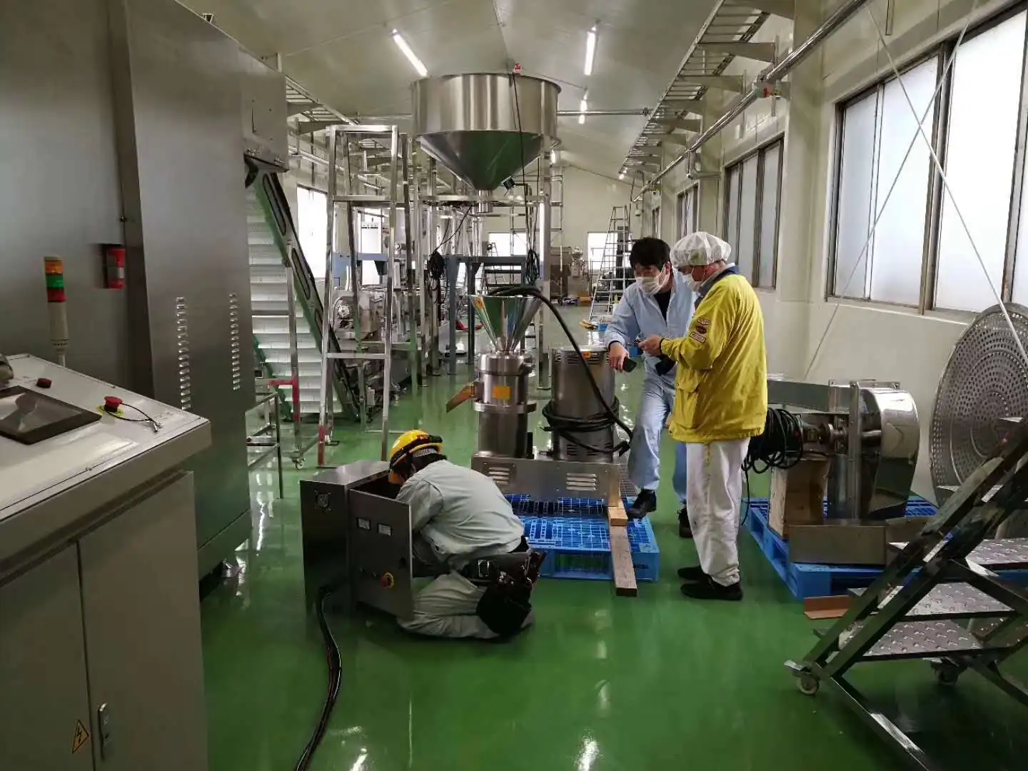 Complete processing line pet food production line fish dog cat feed making machine