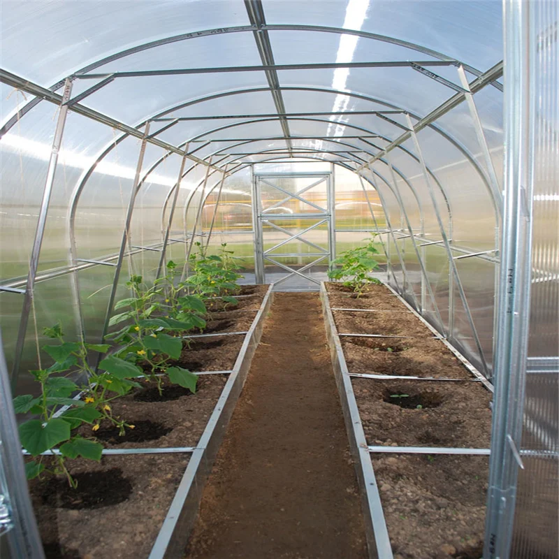 Большая многопролетная Коммерческая теплица для грибов/теплицы строительства
