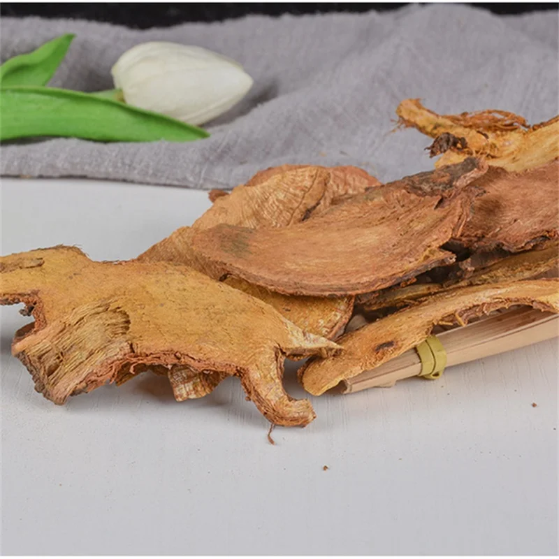 Hu Zhang Polygonum cuspidatum