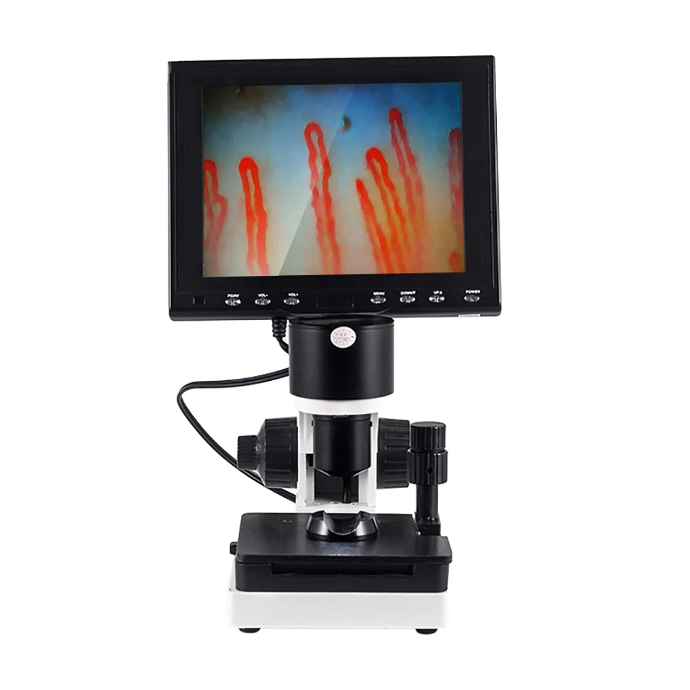 Digital Microscope Microcirculation8/10/12inch LCD for Blood Display Nailfold Capillary Digital Microscope with Screen